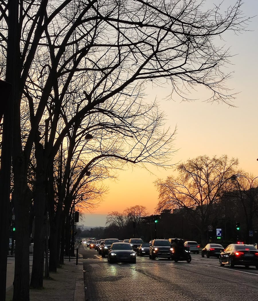 Avenue Foch Grandeur 1
