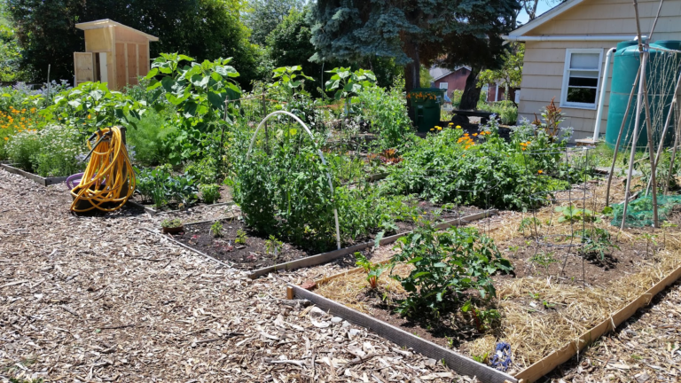 Georgetown Garden Walk 3