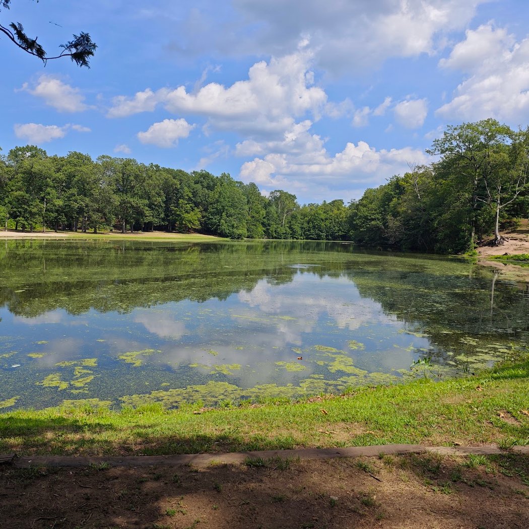 Wharton Brook State Park 1