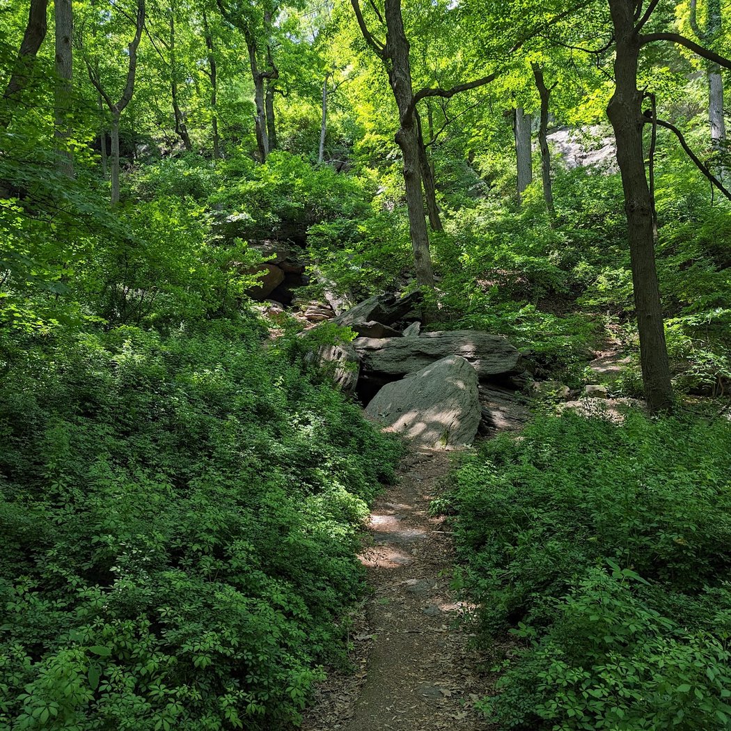 Monthly Nature Exploration Hike 1