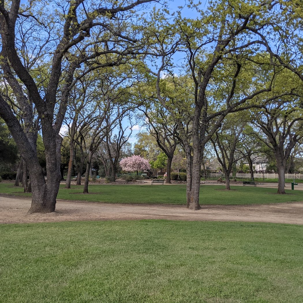 Alamo Creek Park 2