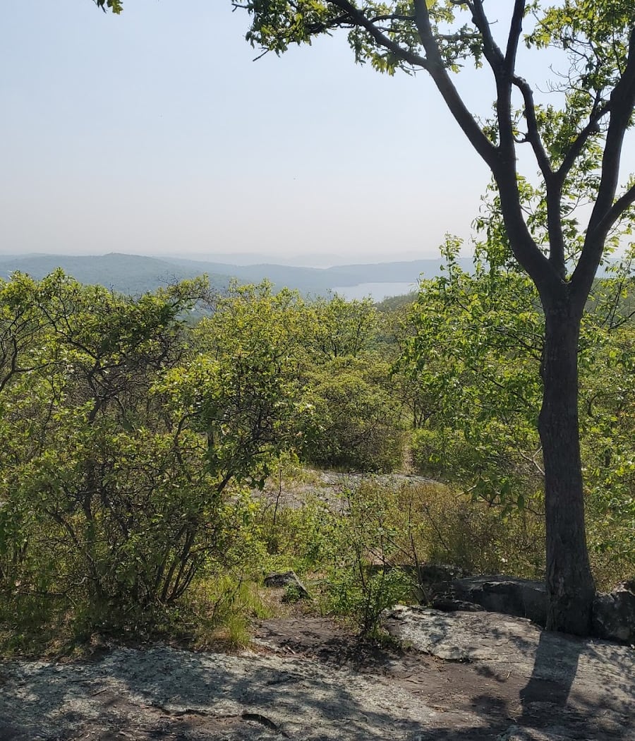 Turkey Mountain 3