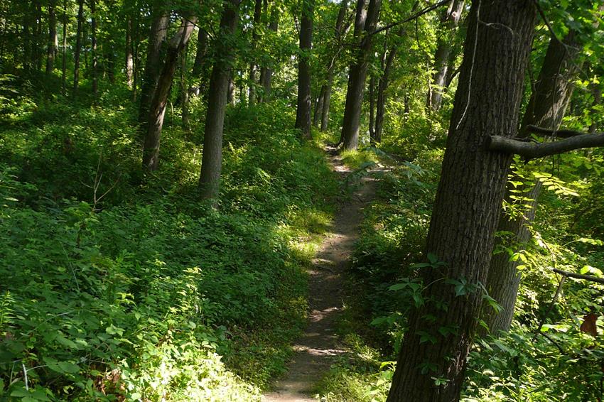Bluffs Nature Area