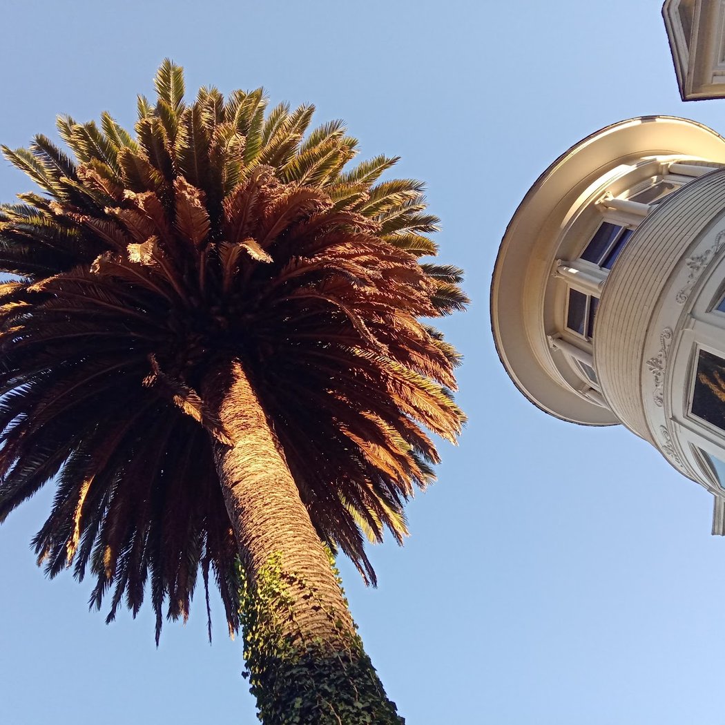 Buena Vista Terrace 2