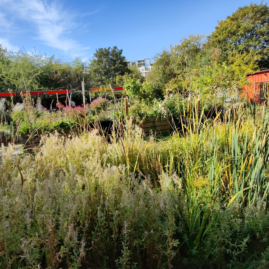 Jardinage d'automne - Atelier adultes 2