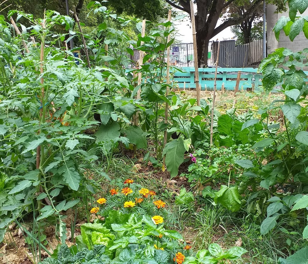 et Compost Partagés CAPDCV "C'est Arrivé Près De Chez Vous" Garden 1