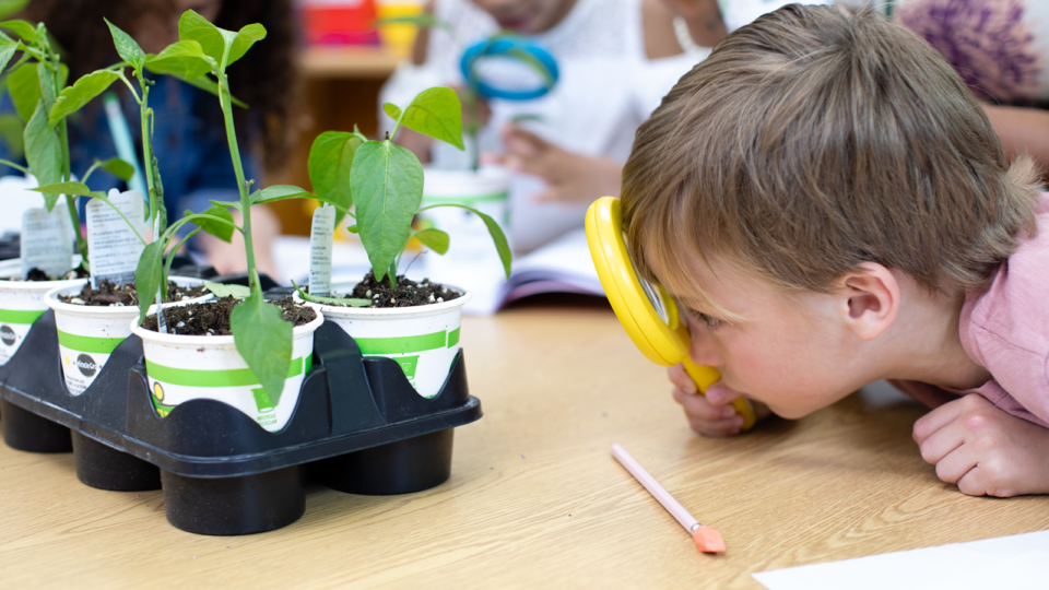 Pop Up Stem Workshops for Kids! 3