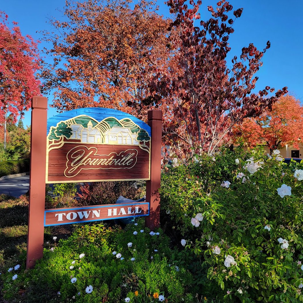 Yountville Music in the Park 3