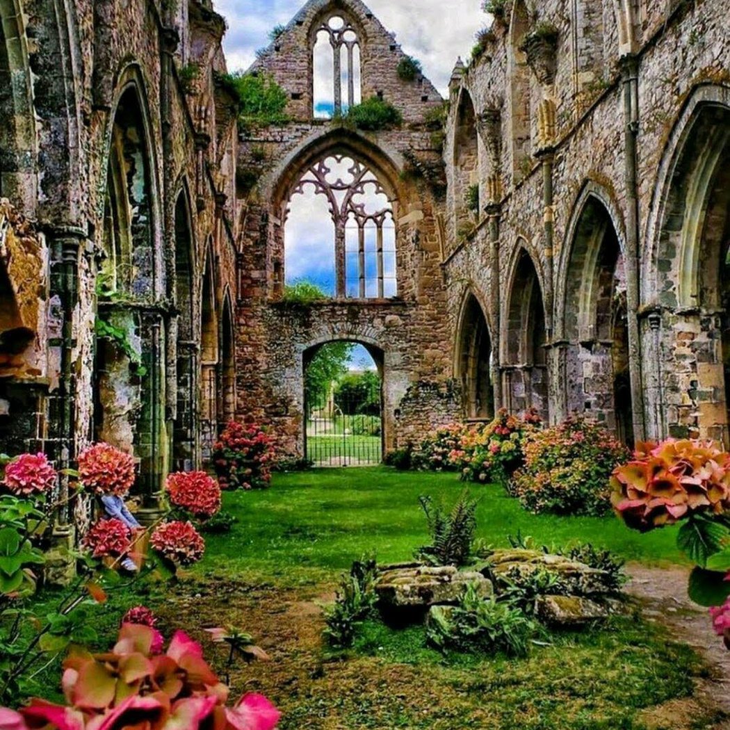 Abbaye de Beauport 1