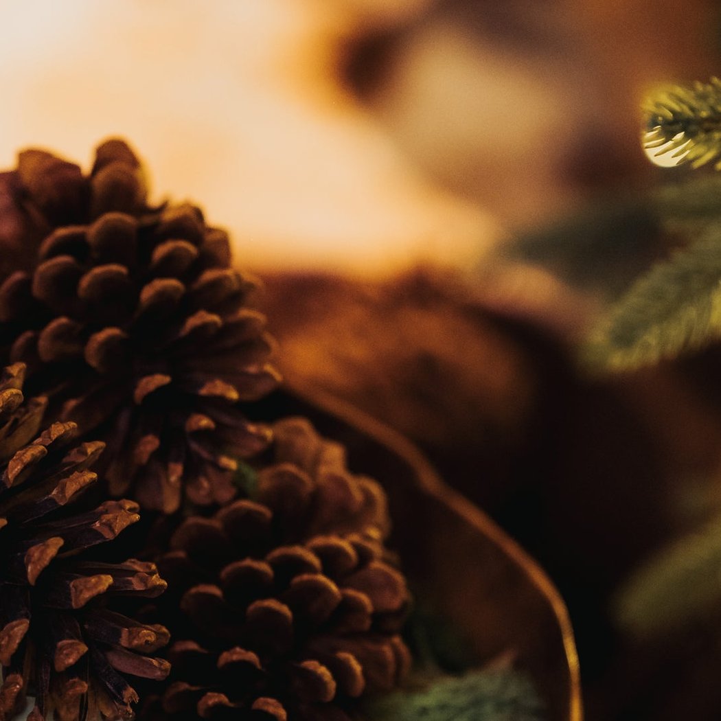 12 Days of Festive: Sketch Sessions 2