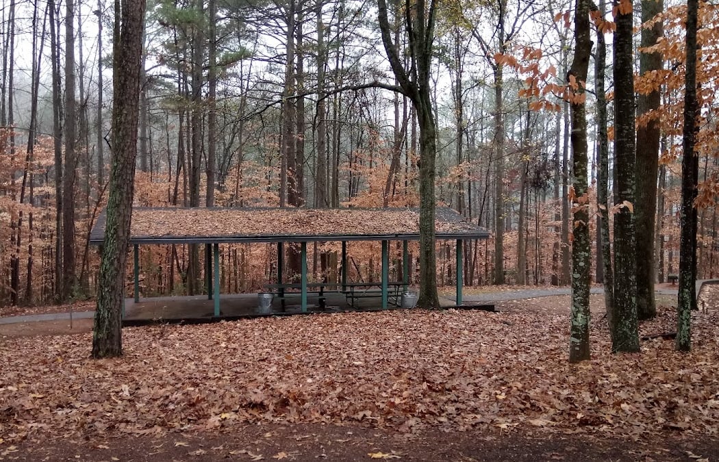 Kelley Cofer Park 3