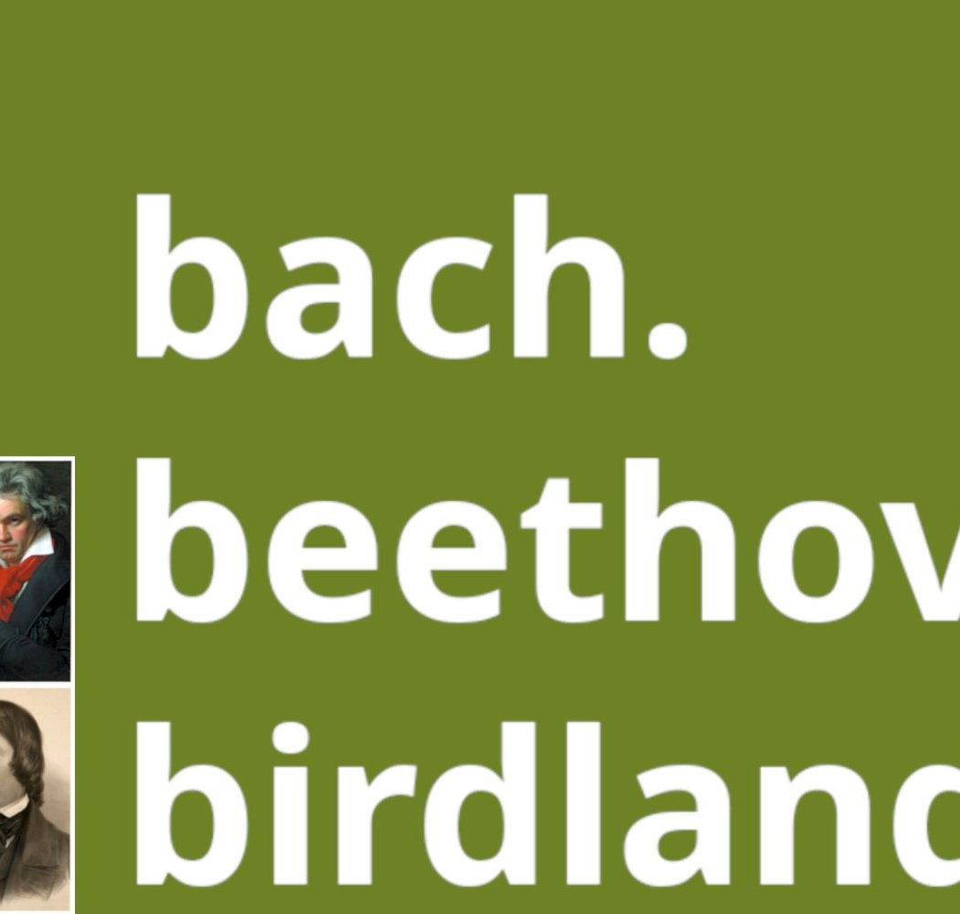 bach - beethoven - birdland