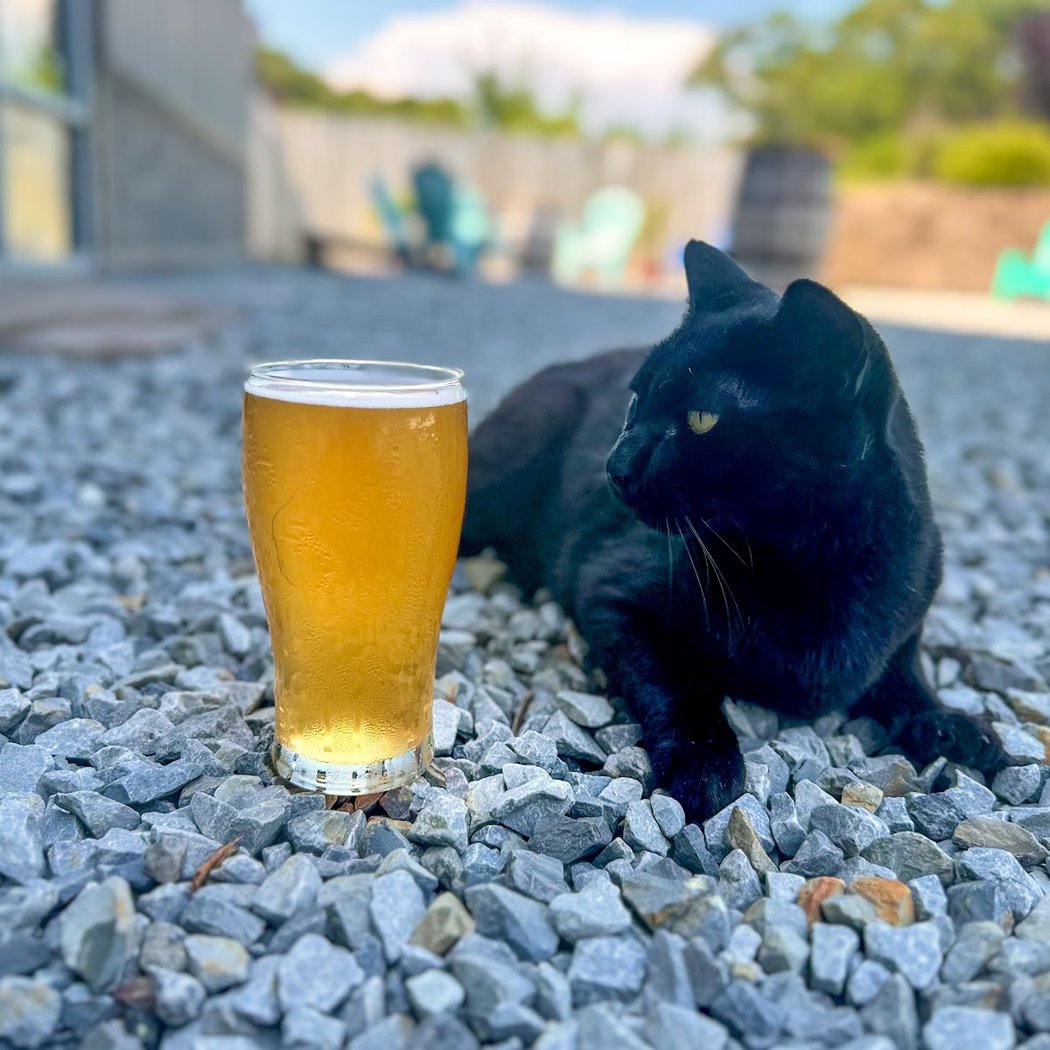 Twin Fork Beer Co 1