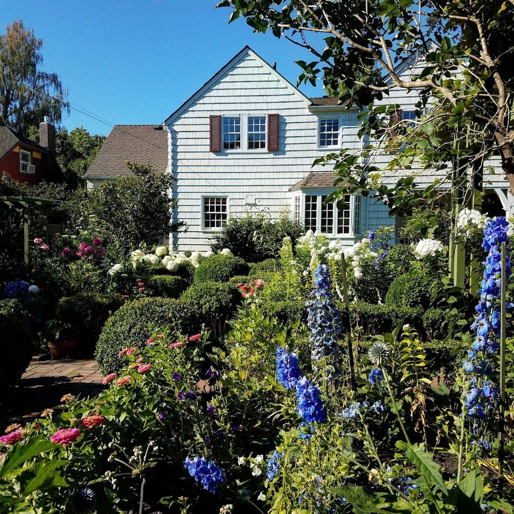 Gaiety Hollow Open Gardens: Constant Billy 1