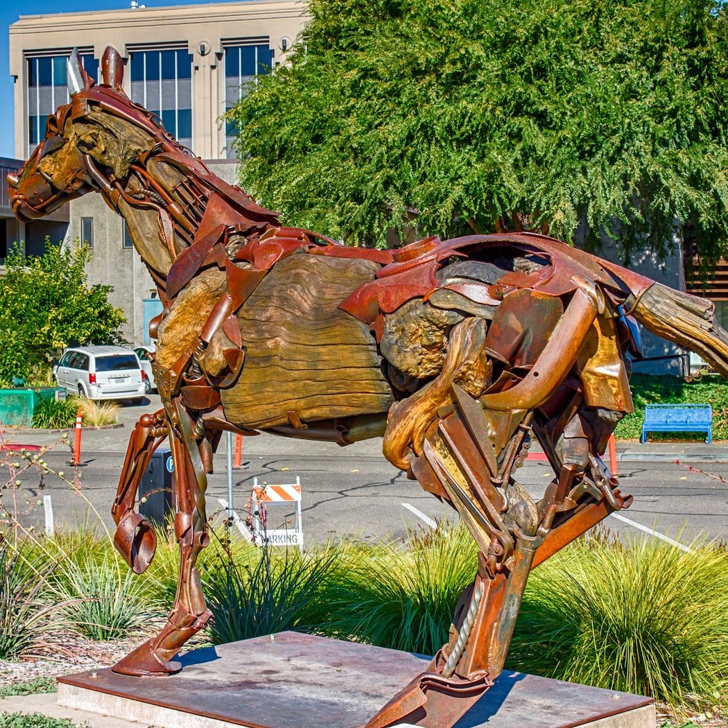 City of Santa Rosa 1