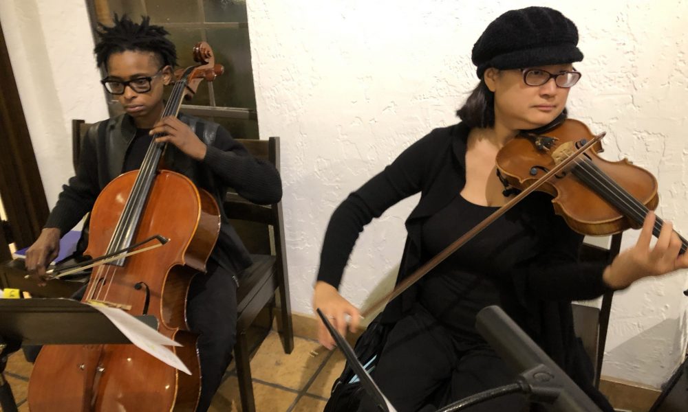 Karen Lim-Smith Violin Performance 1