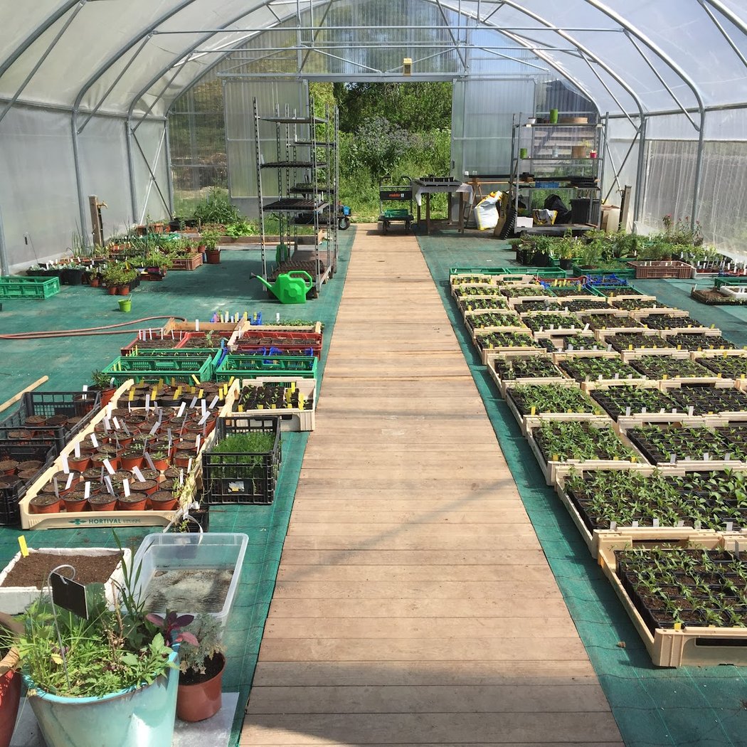 Conservatoire des Légumes anciens du Béarn (CLAB) 3