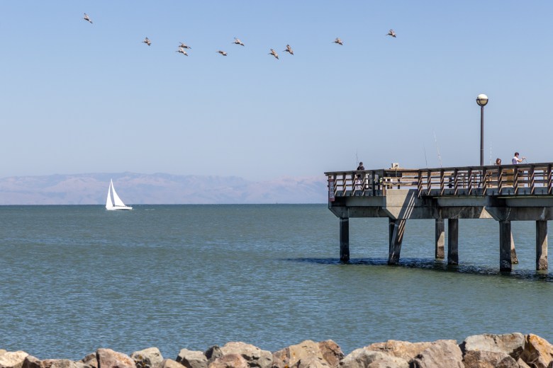 Oyster Point Marina/Park 1