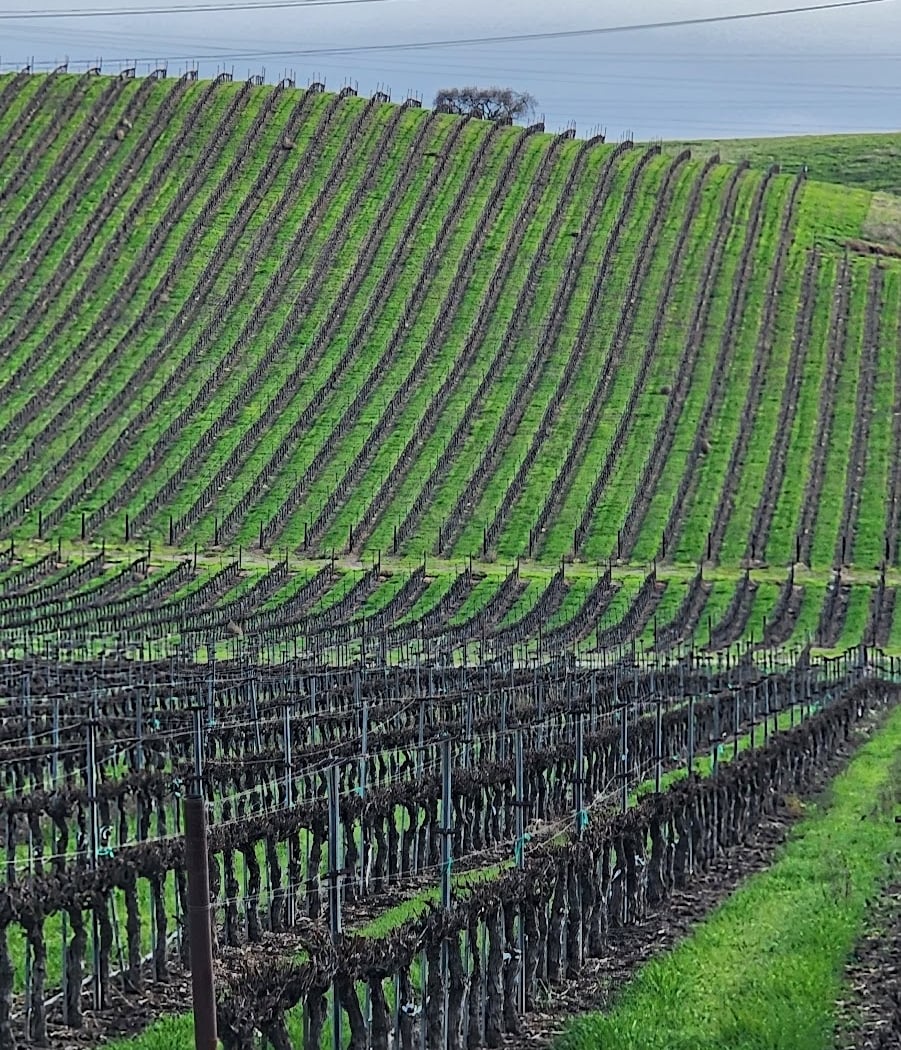 Livermore Valley 2