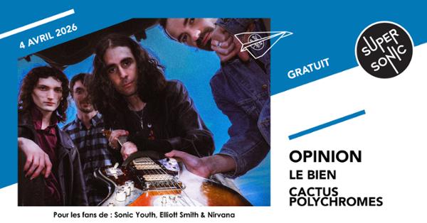Opinion 1