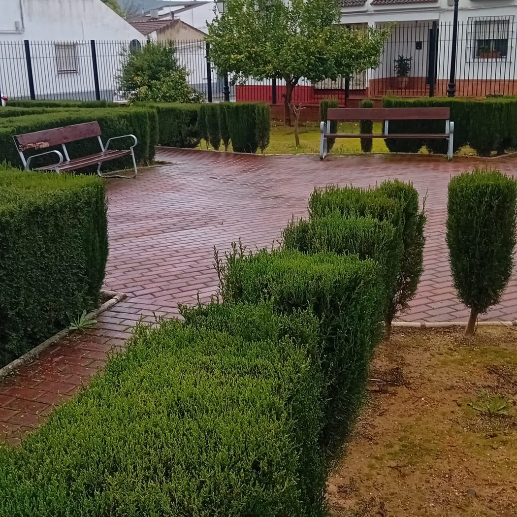 Parque 2