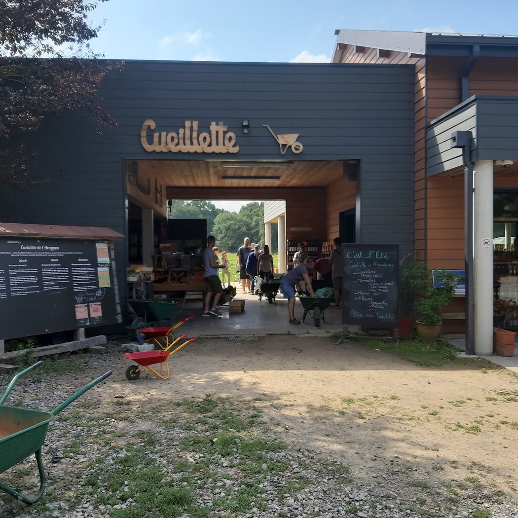 Conte sur les graines 2