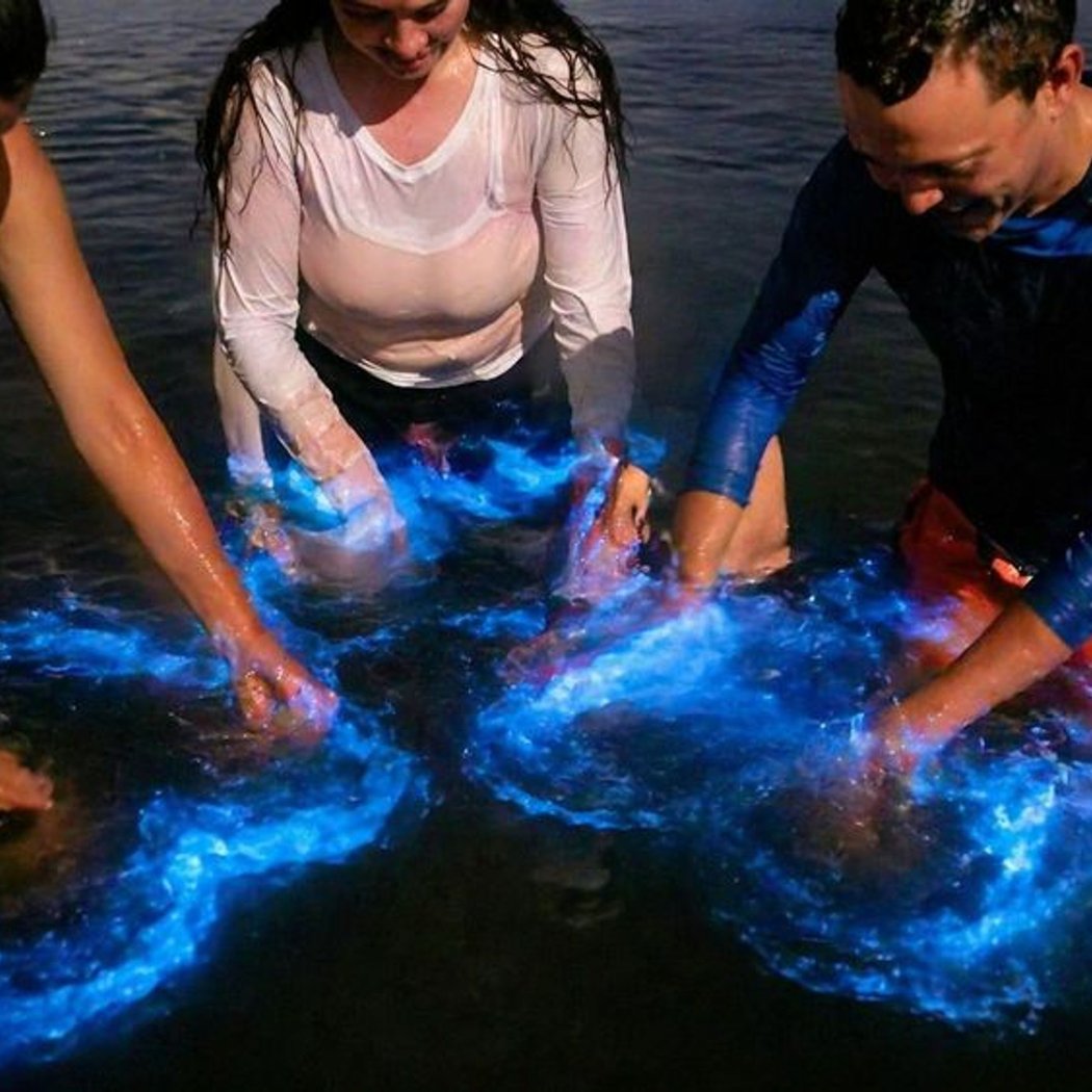 Magic After Dark Bioluminescence Kayak Tour 2