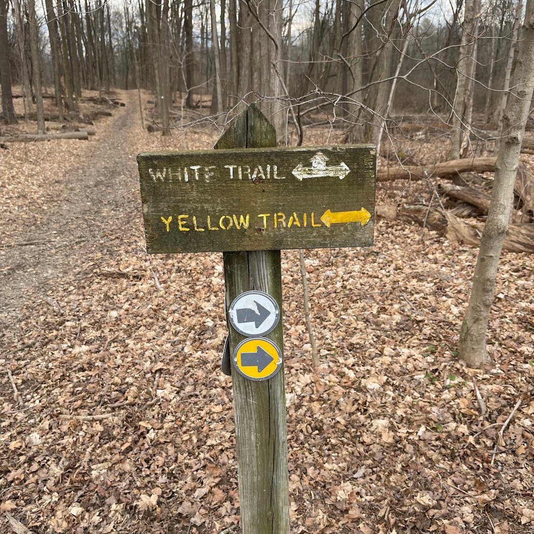 Martin Van Buren Nature Trail 3