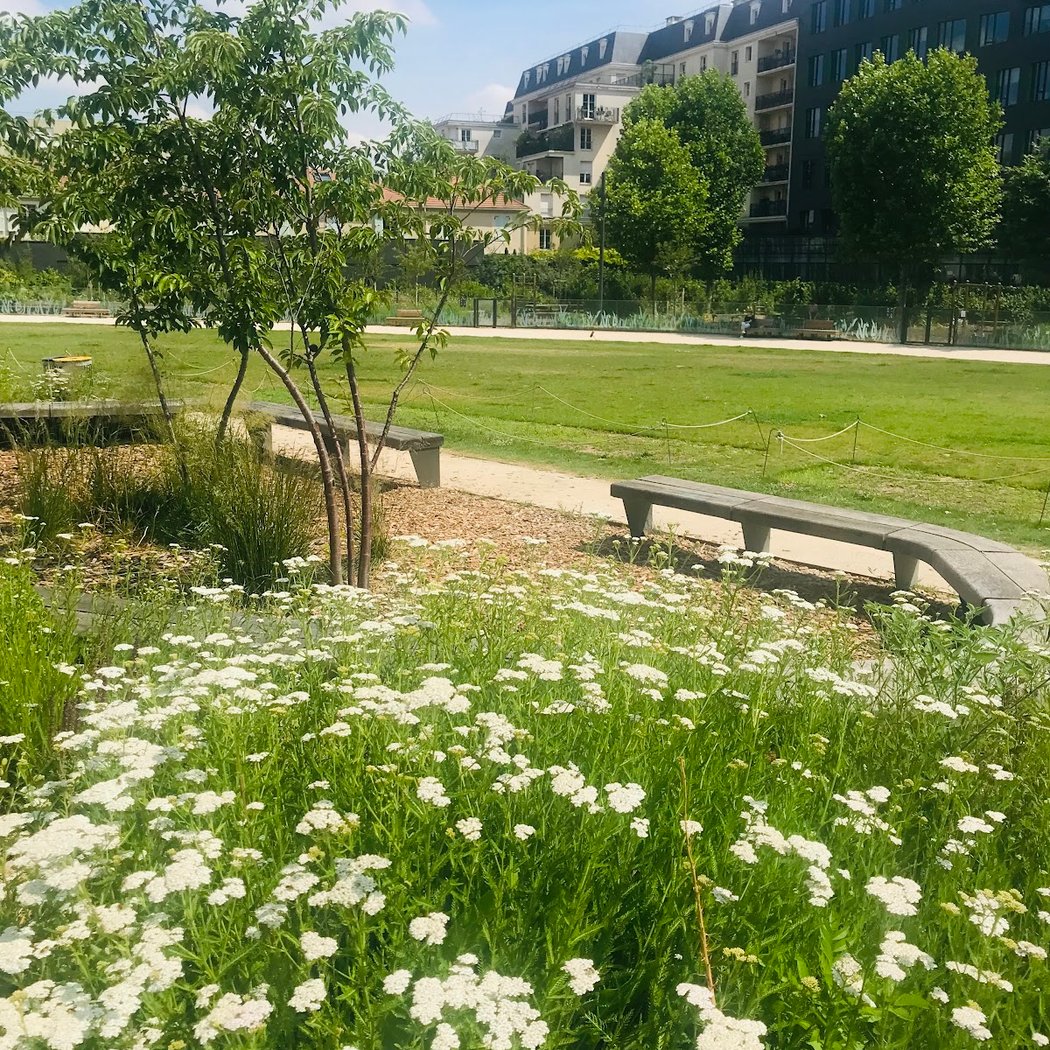 Les Estivales Montrougiennes 2024 5