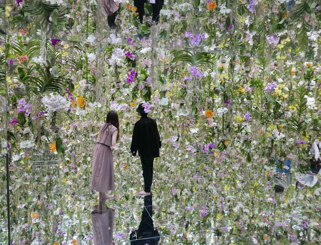 teamLab Planets TOKYO DMM 2