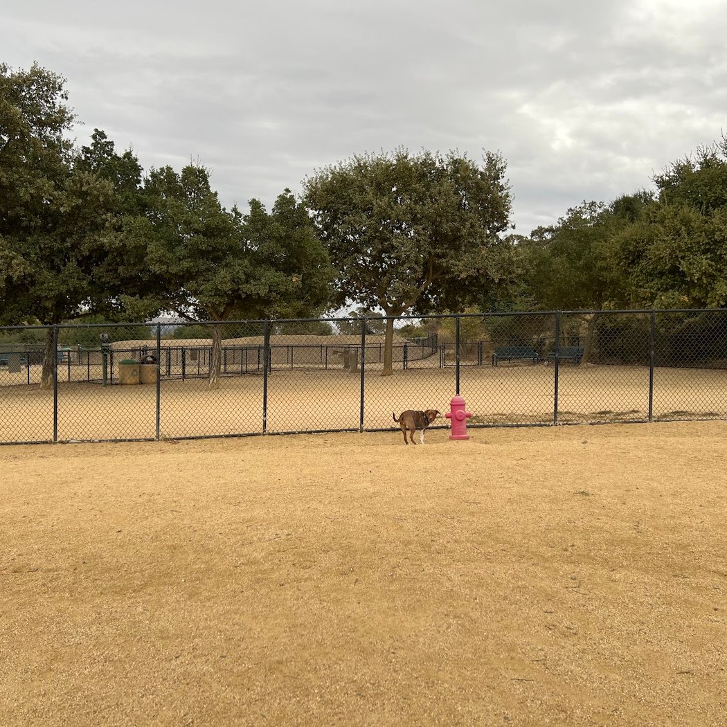 Bollinger Dog Run 2