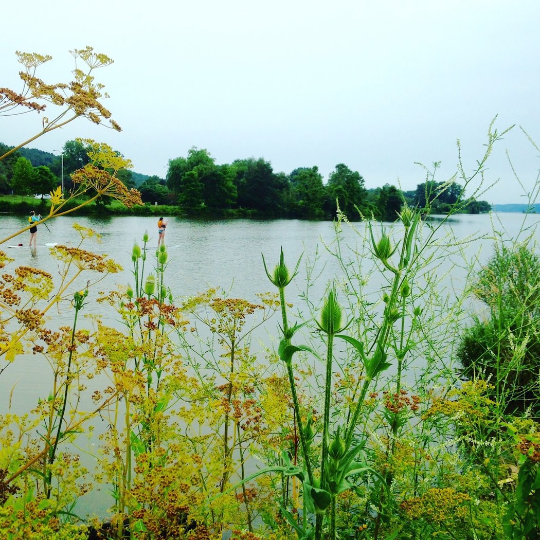 Cayuga Waterfront Trail 1