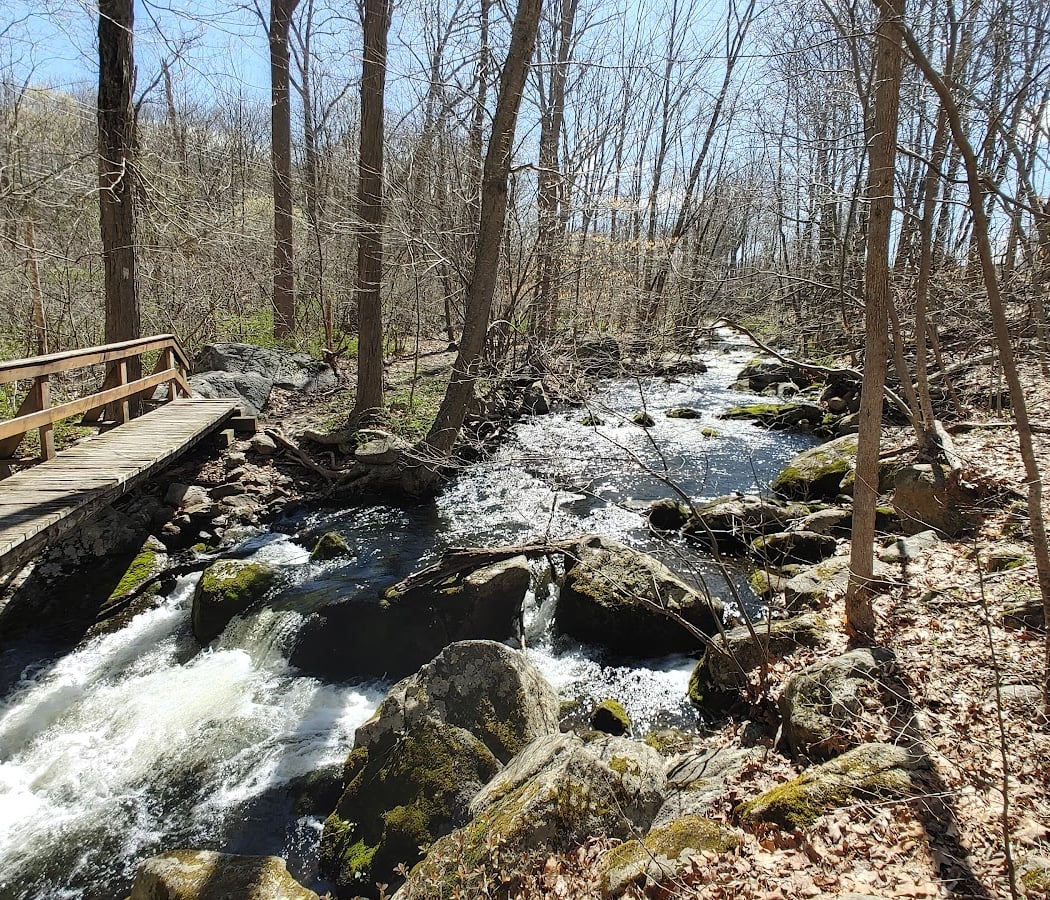 Appalachian Trail 1