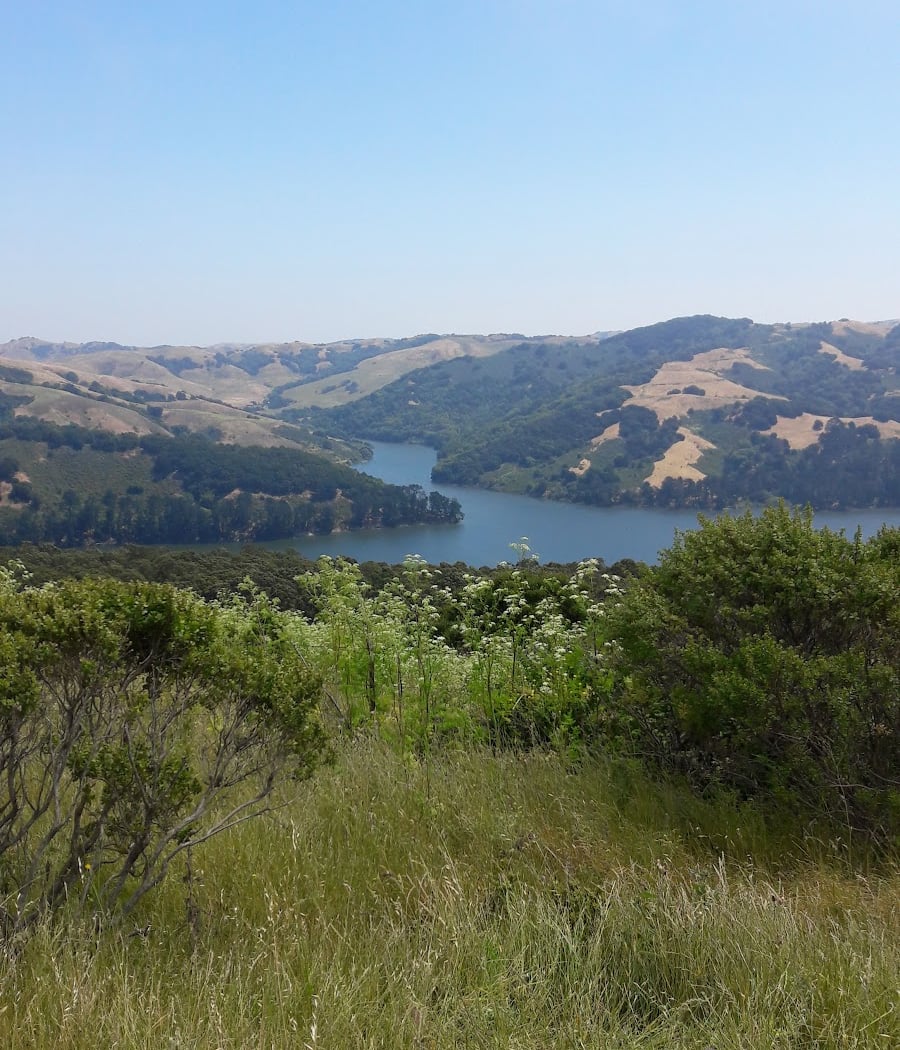 Orinda 2