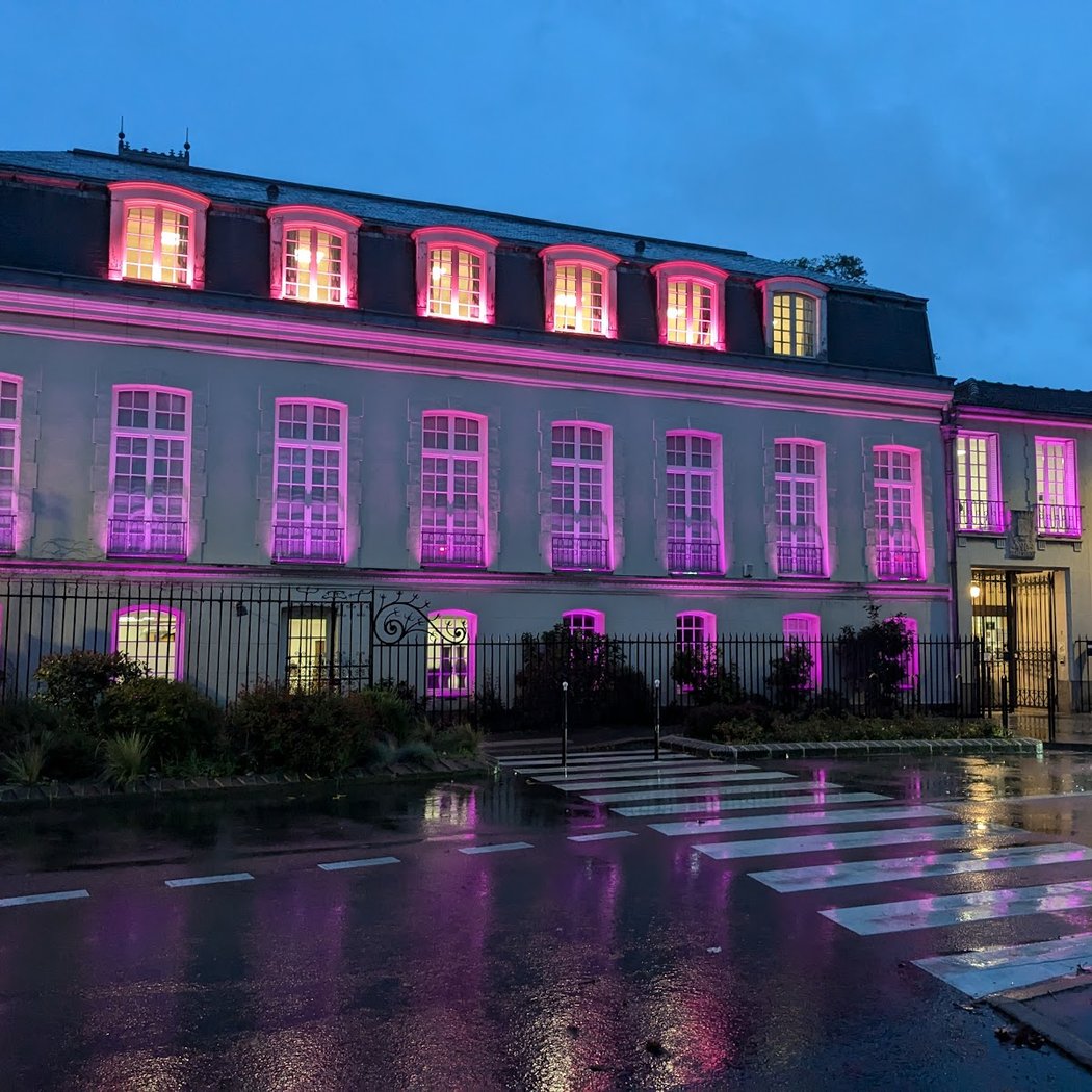 Hôtel de Malestroit 2