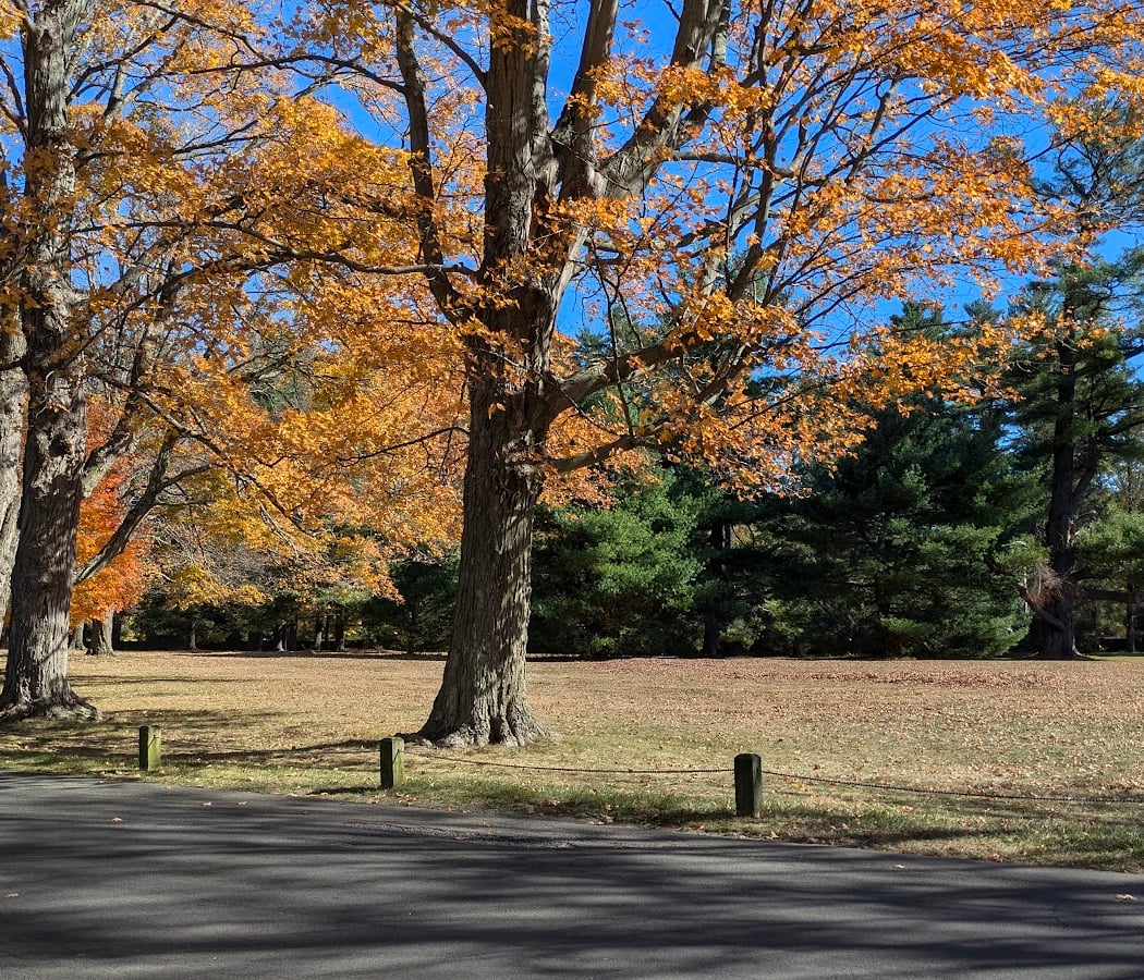 Vanderbilt Lane Historic District 2