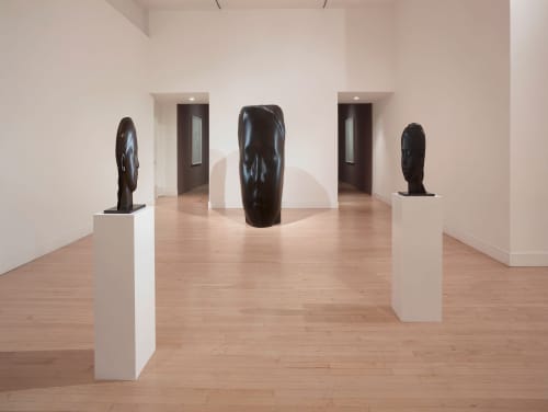 Jaume Plensa: Silent Faces 2