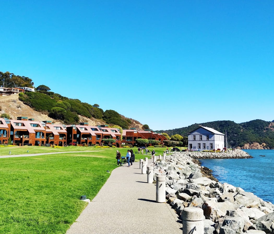 Belvedere Tiburon 3
