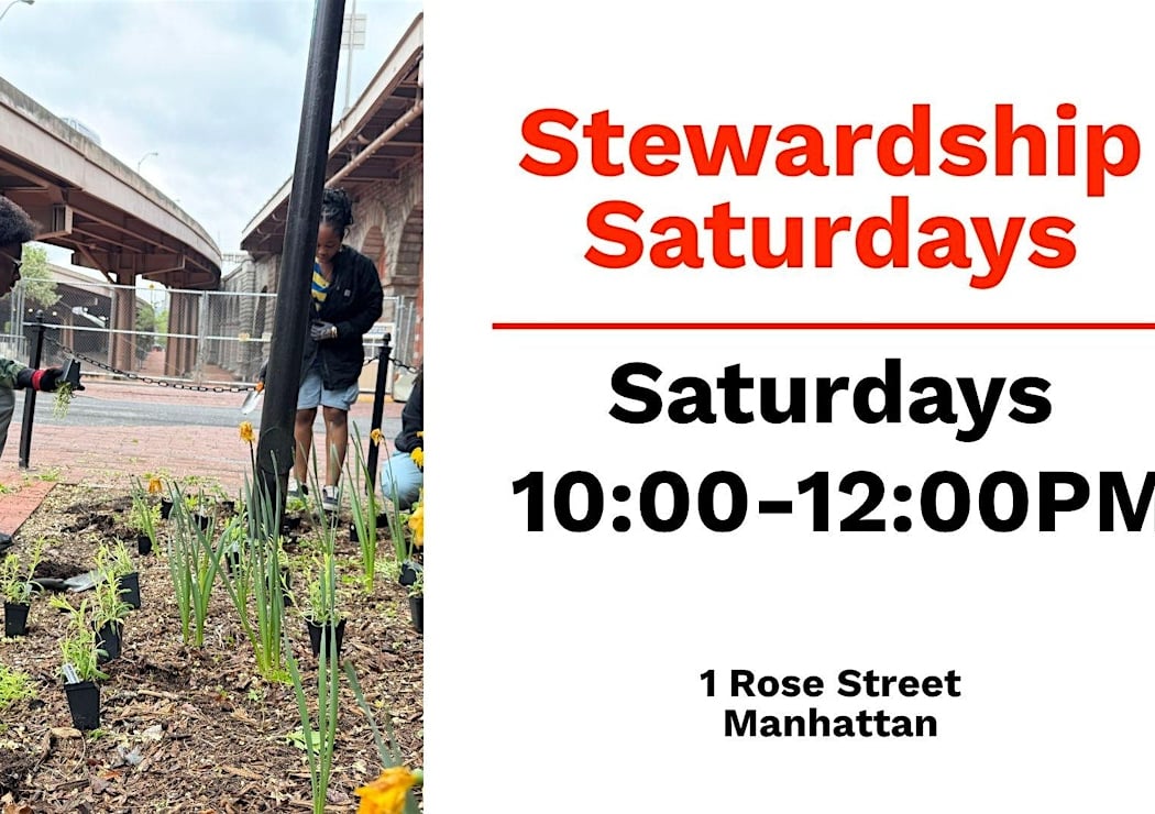 Stewardship Saturday at Gotham Park (Garden & Clean Up)