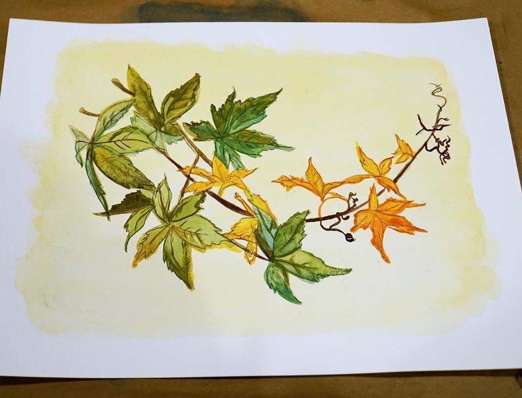 Beginner’s Watercolor: Florals and Botanicals 1