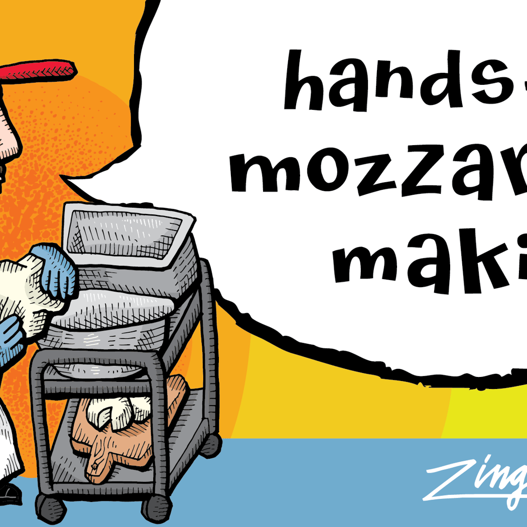 Hands-On Mozzarella Making 1