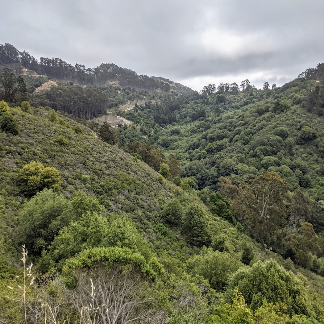 Scotts Peak Trailhead 3