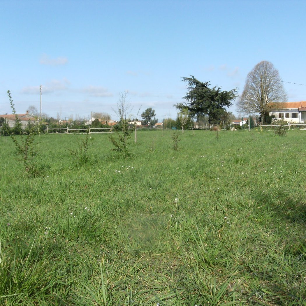 Pension canine en famille (44) 3