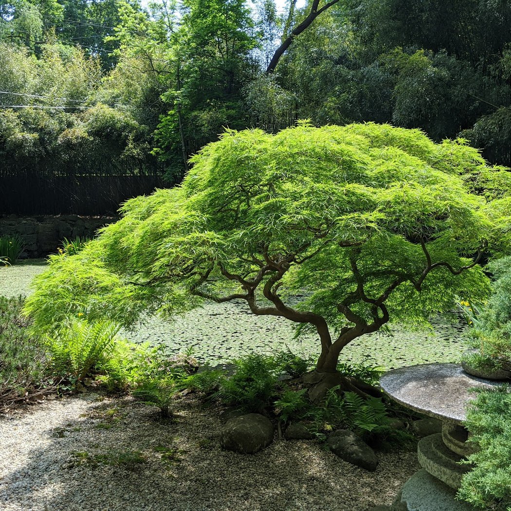 John P. Humes Japanese Stroll Garden 3