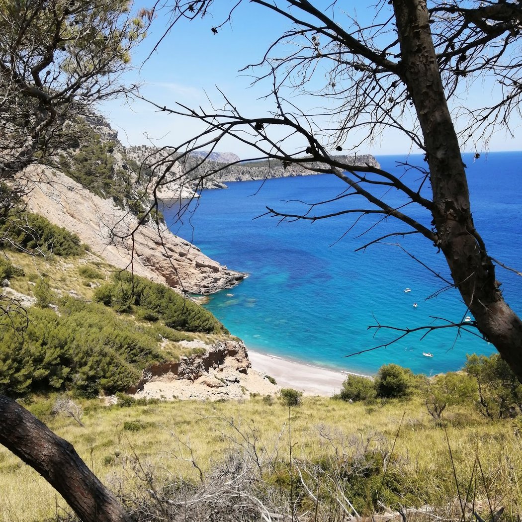 Top Beach 3