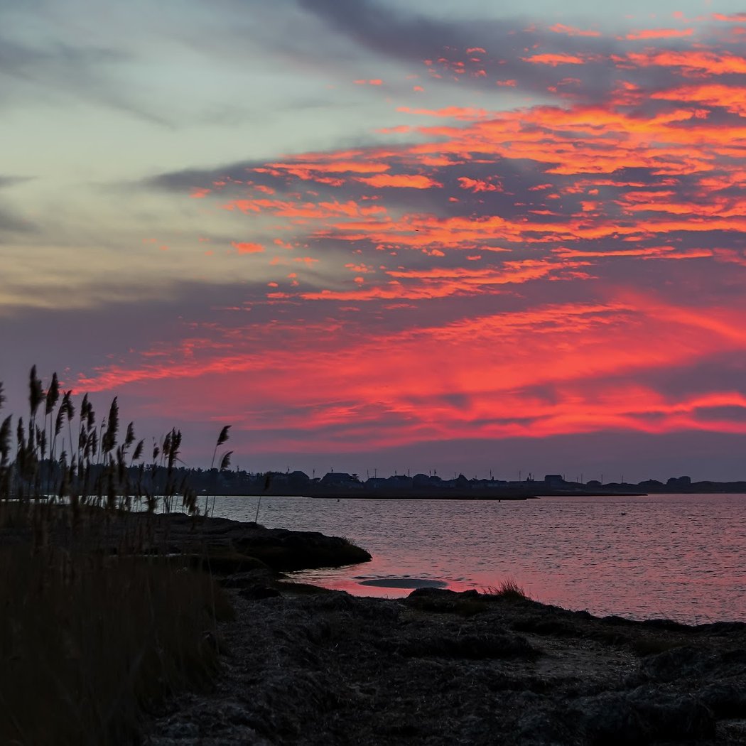 Madaket Beach 1