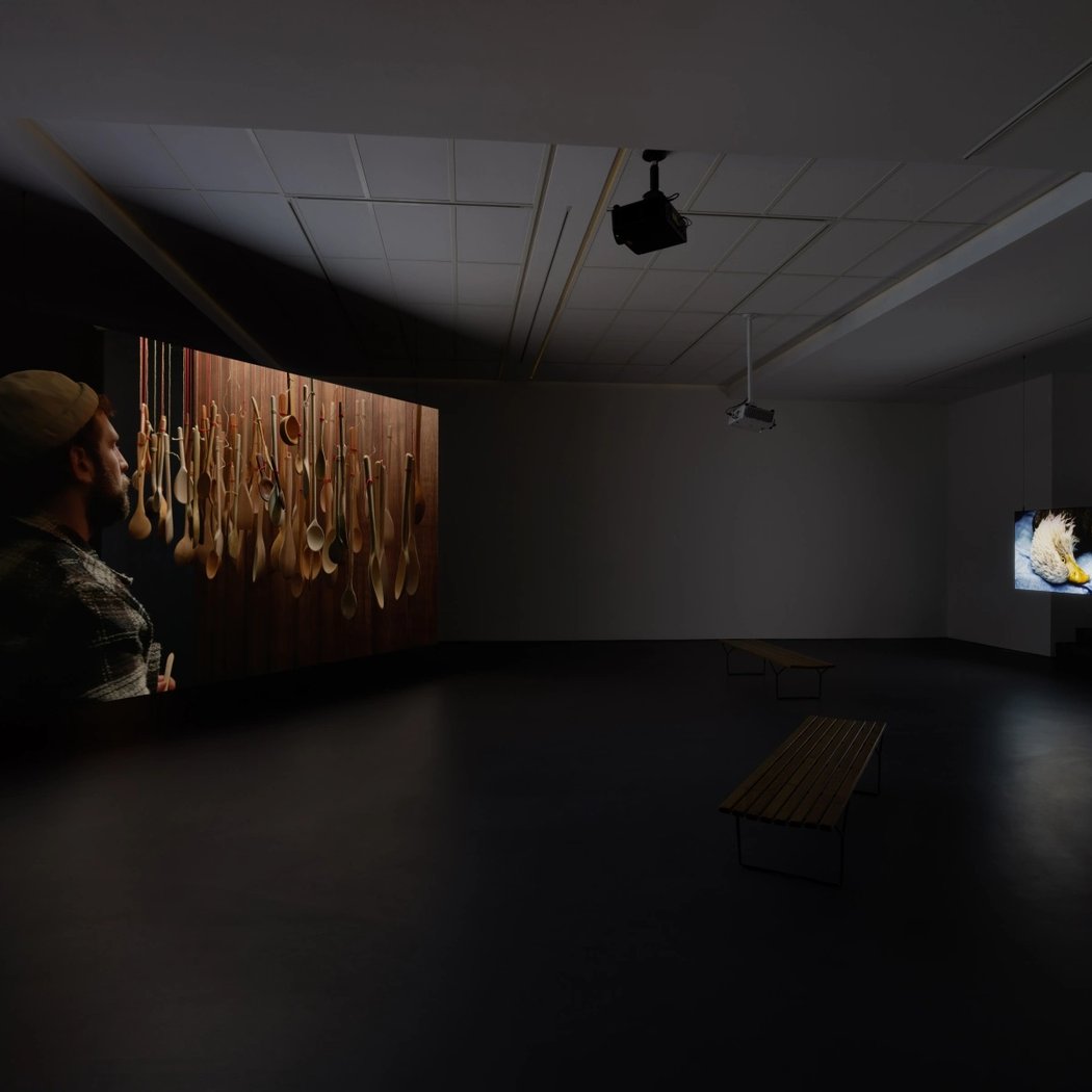 David Claerbout: Repose