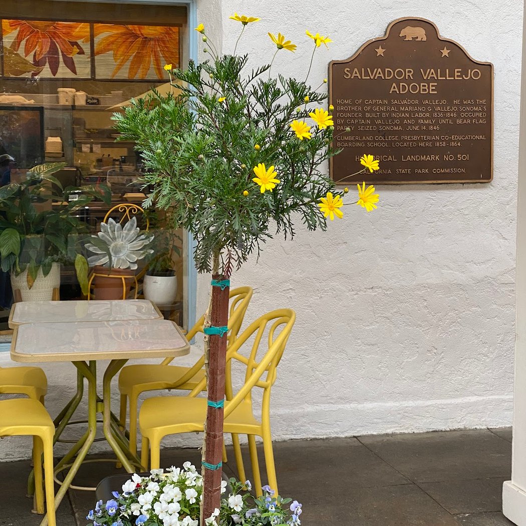 Salvador Vallejo Adobe (California Historical Landmark #501) 4