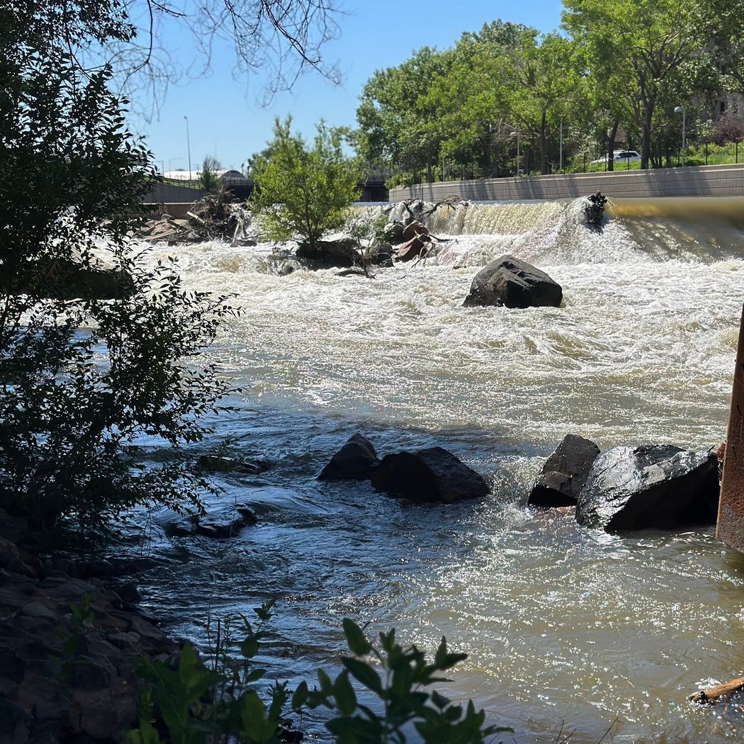 Phil Milstein Park 2