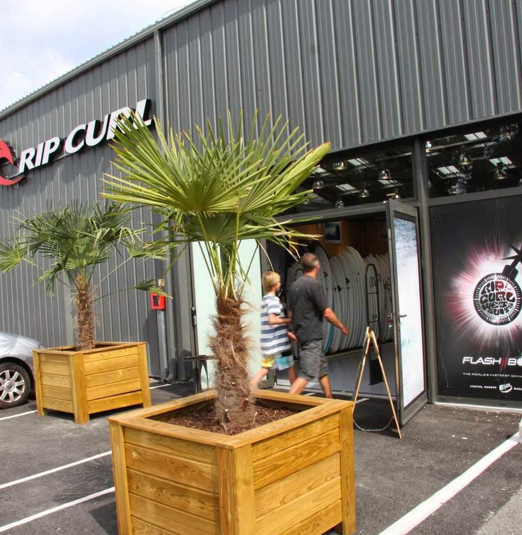 Rip Curl Technical Store 2